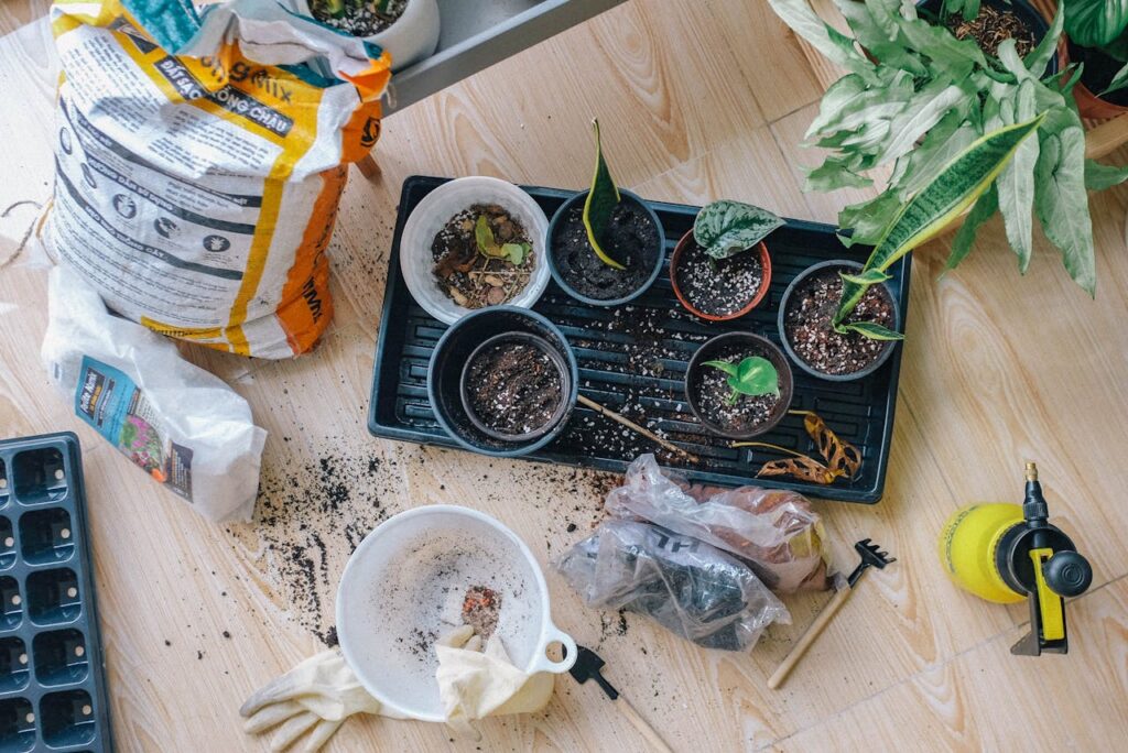 Urban Gardening & Microgreens: A Fresh Revolution in City Living