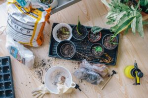 Urban Gardening & Microgreens: A Fresh Revolution in City Living