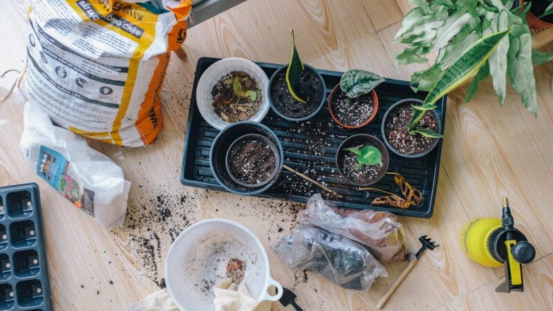 Urban Gardening & Microgreens: A Fresh Revolution in City Living